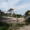 Horse spelling at Yarra Bay